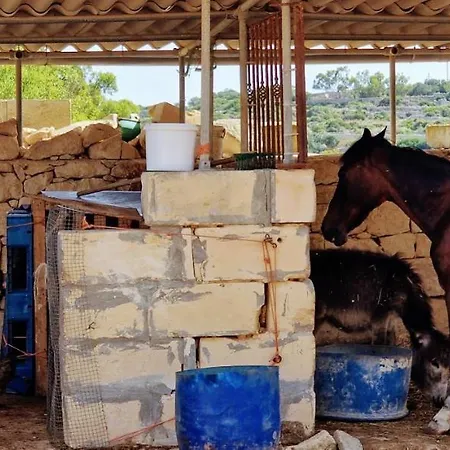 Valley View * Qrendi