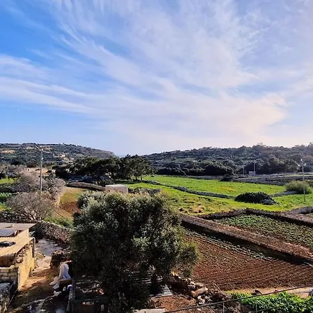 Valley View Apartment