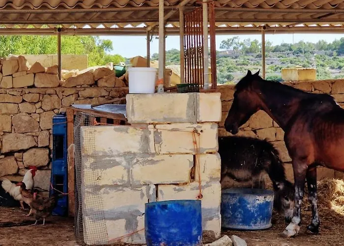 Valley View * Qrendi